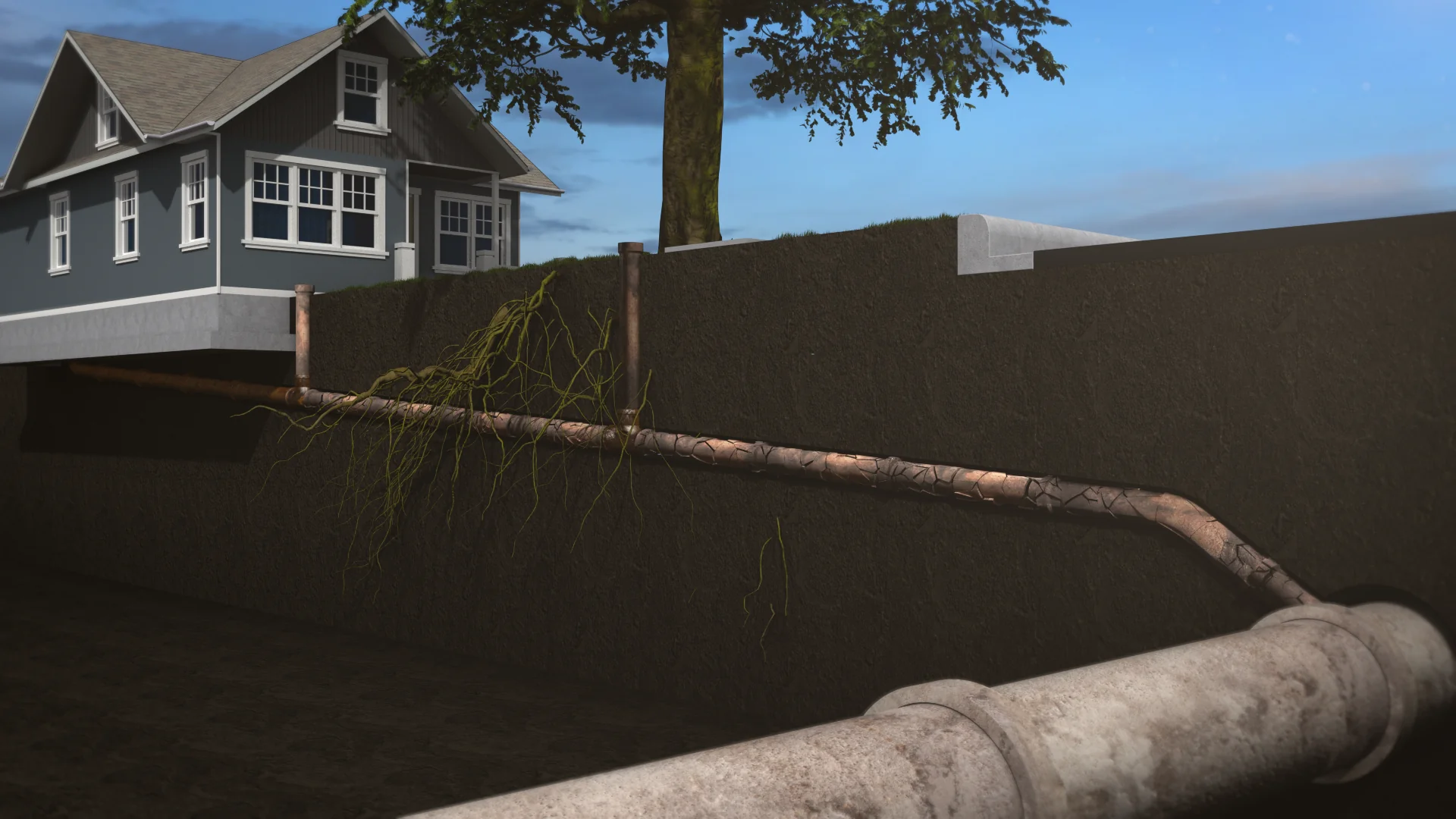 Cutaway of a home sewer lateral running to the main, with tree roots in the pipe