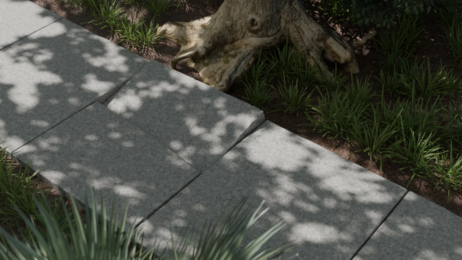 Cracked sidewalk slabs tree roots, 3D render by Signature Media